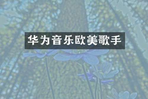 华为音乐欧美歌手
