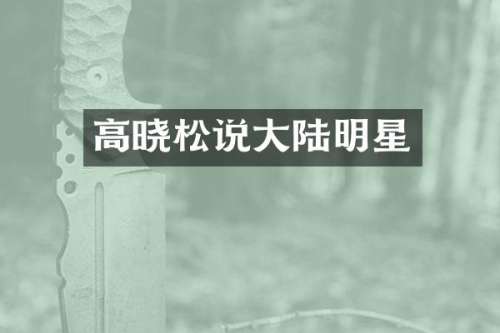高晓松说大陆明星