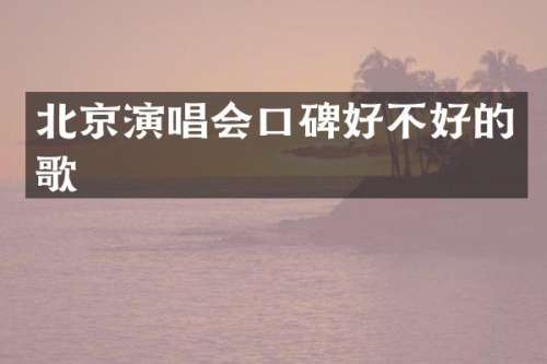北京演唱会口碑好不好的歌
