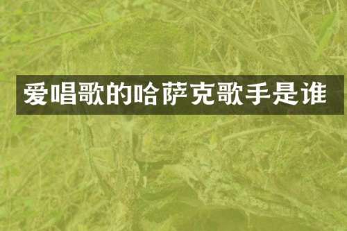 爱唱歌的哈萨克歌手是谁