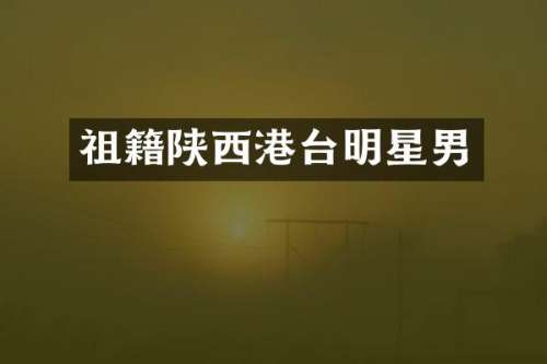 祖籍陕西港台明星男