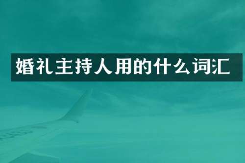 婚礼主持人用的什么词汇