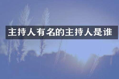 主持人有名的主持人是谁