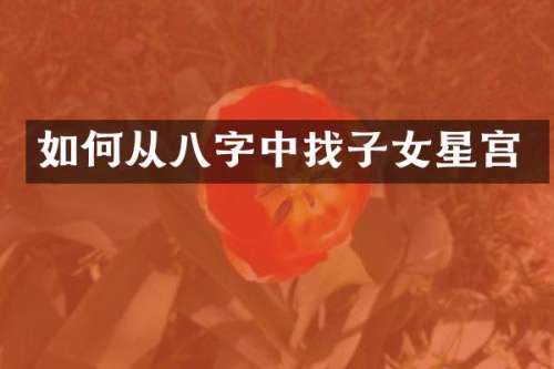 如何从八字中找子女星宫