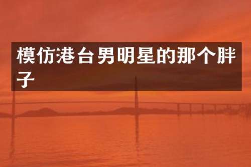 模仿港台男明星的那个胖子