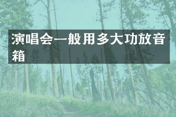 演唱会一般用多大功放音箱