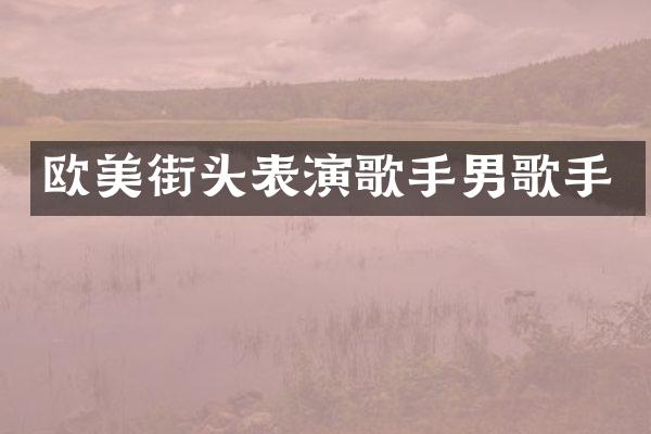 欧美街头表演歌手男歌手
