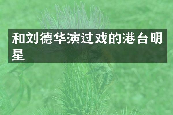 和刘德华演过戏的港台明星