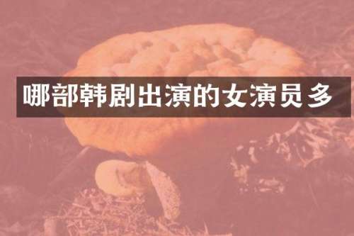 哪部韩剧出演的女演员多
