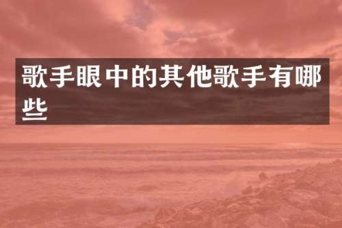 歌手眼中的其他歌手有哪些