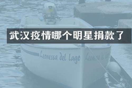 武汉疫情哪个明星捐款了