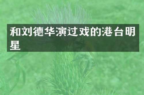 和刘德华演过戏的港台明星