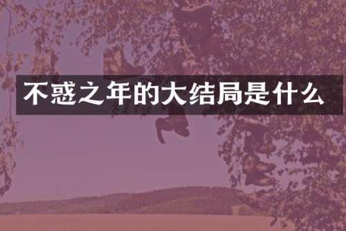 不惑之年的大结局是什么