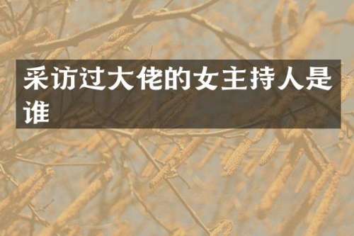 采访过大佬的女主持人是谁