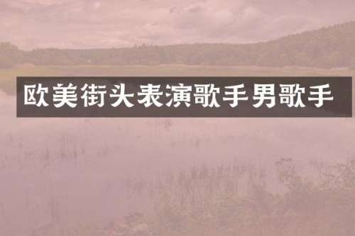欧美街头表演歌手男歌手