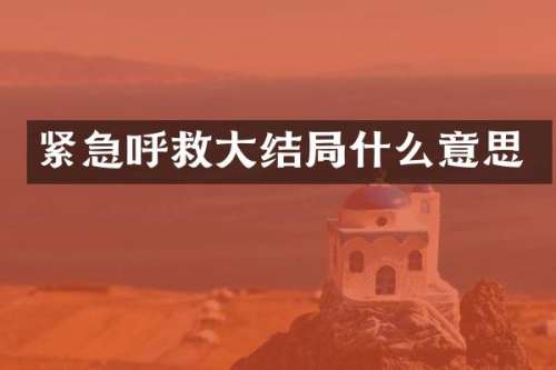 紧急呼救大结局什么意思