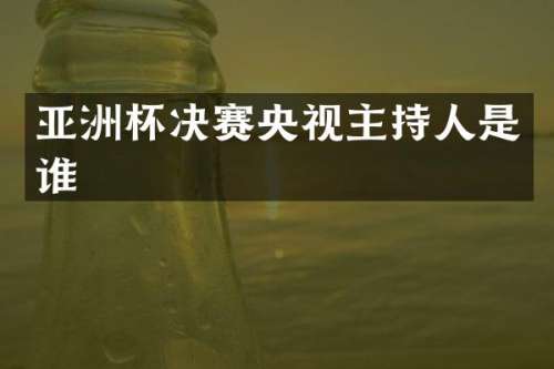 亚洲杯决赛央视主持人是谁