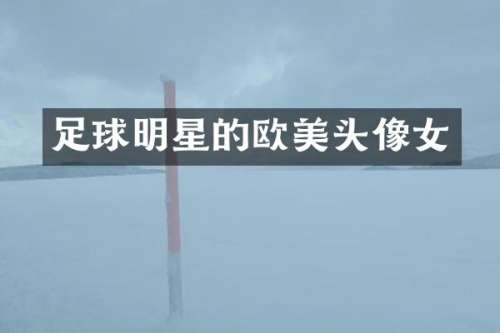 足球明星的欧美头像女
