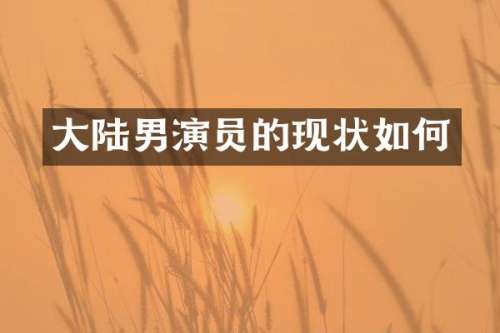 大陆男演员的现状如何