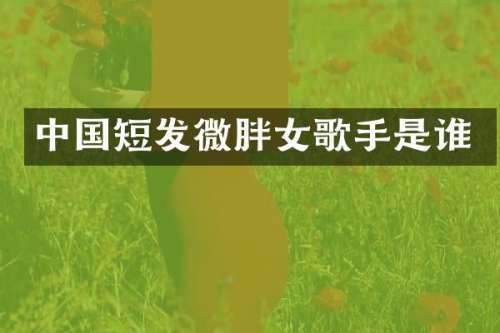 中国短发微胖女歌手是谁