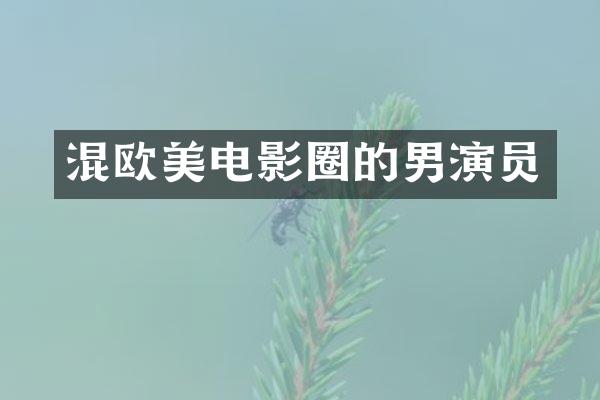 混欧美电影圈的男演员