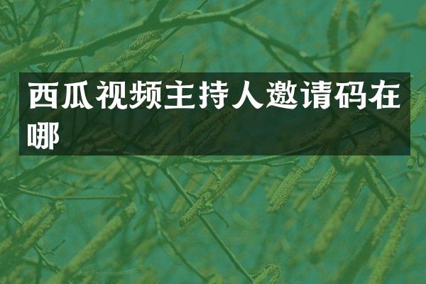西瓜视频主持人邀请码在哪