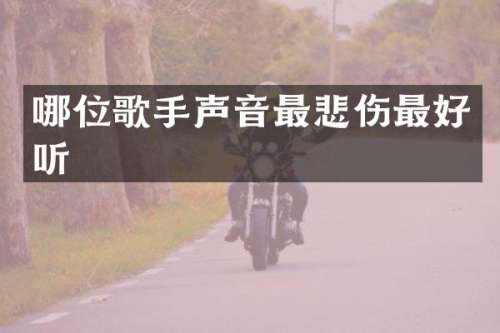 哪位歌手声音最悲伤最好听