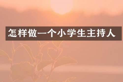 怎样做一个小学生主持人
