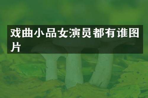 戏曲小品女演员都有谁图片