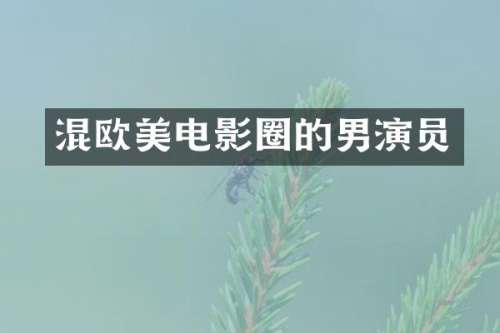 混欧美电影圈的男演员