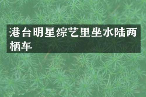 港台明星综艺里坐水陆两栖车