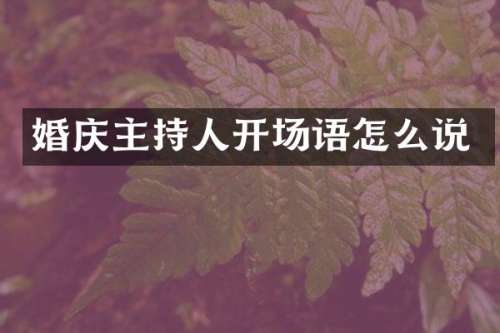 婚庆主持人开场语怎么说