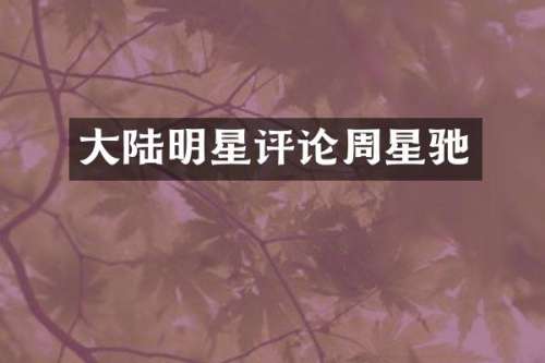 大陆明星评论周星驰