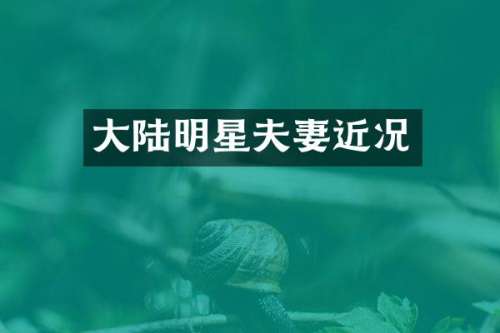 大陆明星夫妻近况