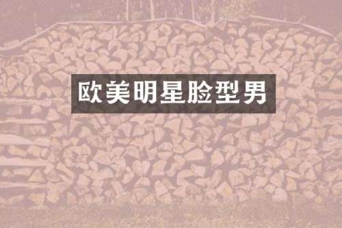 欧美明星脸型男