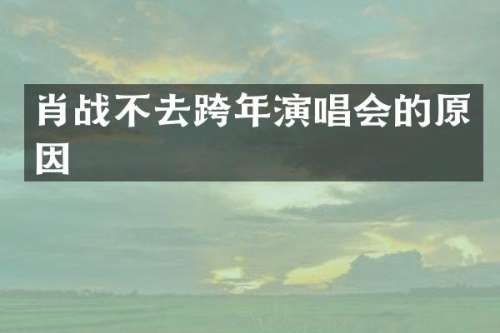 肖战不去跨年演唱会的原因