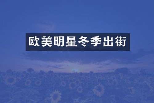 欧美明星冬季出街