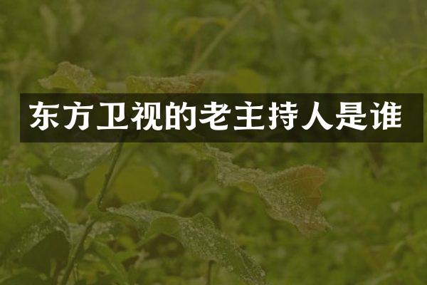 东方卫视的老主持人是谁