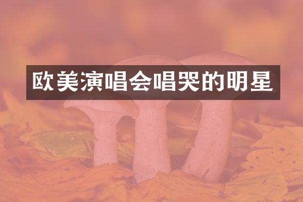 欧美演唱会唱哭的明星