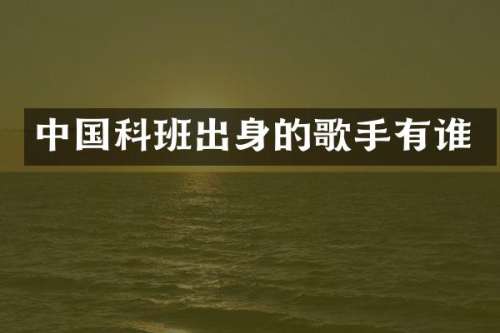 中国科班出身的歌手有谁