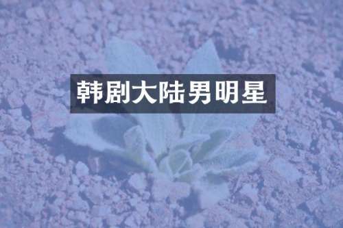 韩剧大陆男明星
