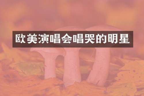 欧美演唱会唱哭的明星