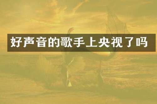 好声音的歌手上央视了吗