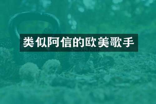 类似阿信的欧美歌手
