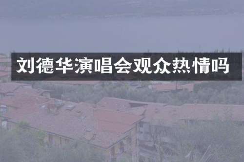 刘德华演唱会观众热情吗