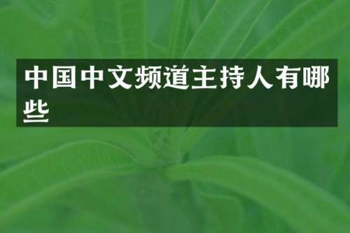中国中文频道主持人有哪些
