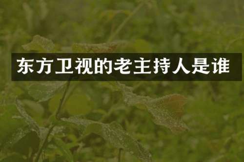 东方卫视的老主持人是谁
