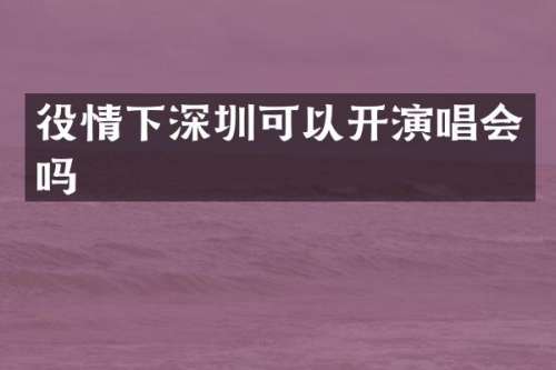 役情下深圳可以开演唱会吗