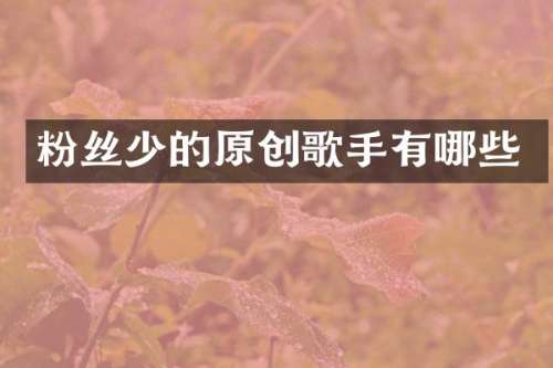 粉丝少的原创歌手有哪些