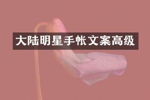 大陆明星手帐文案高级